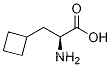(S)-2-aMino-3-cyclobutylpropanoic acid